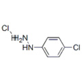 4-clorofenilidrazina cloridrato CAS 1073-70-7