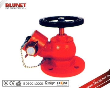 Brass Fire Hydrant, Landing Valve