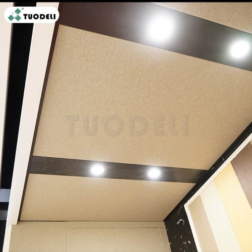 Aluminum Customized Ceiling And Cladding LED Light