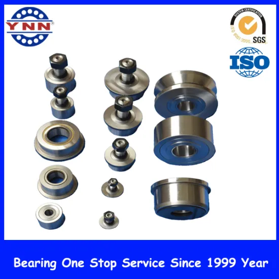 China Factory Non-Standard Rolling Bearing
