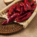 precio de chile 3-7cm tianying chili rojo picante