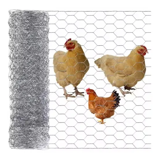 Galvanized Poultry Netting - Hexagonal Chicken Wire Mesh Roll