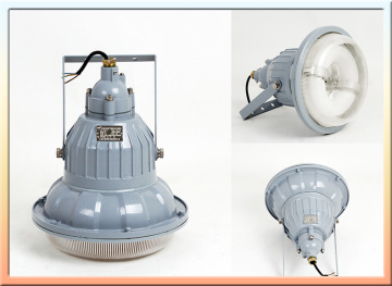 Low Frequency Lighting, LVD Induction Lamp, LED Competitor Lighting
