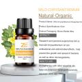 Wholesale Pure and Natural wild chrysanthemum flower oil