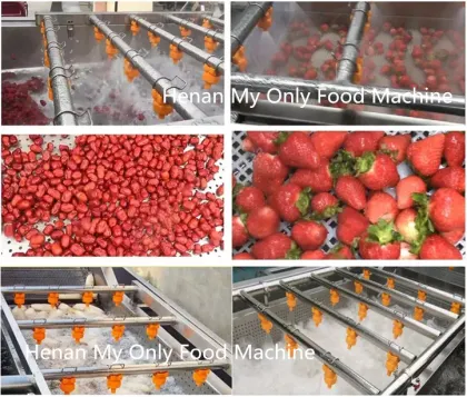Orange Fruit Washing Machine 5 Ton