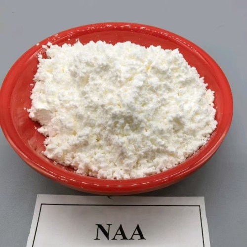 ترقق الثمار بحمض 1-نفثالين أسيتيك NAA