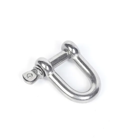 Lifting D-type shackle stainless steel