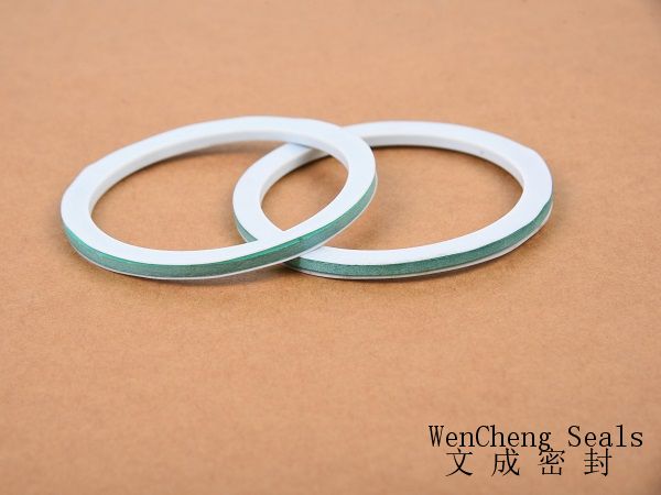 90x75x4mm gasket made of PTFE and CNAF