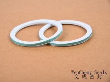 90x75x4mm gasket made of PTFE and CNAF