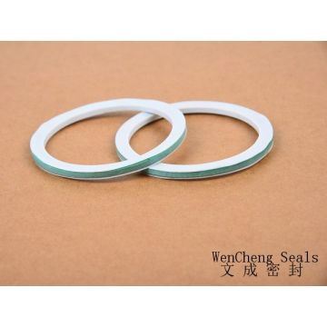90x75x4mm gasket made of PTFE and CNAF
