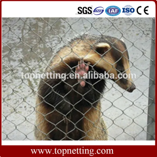 SS 304,316 Wire Rope Mesh,Zoo Mesh,Bird Mesh Factory