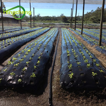 Agriculture Plastic Mulch Film for Vegetable