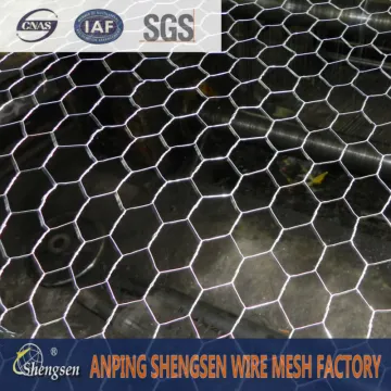 chicken iron mesh/hot dip hex mesh chiken