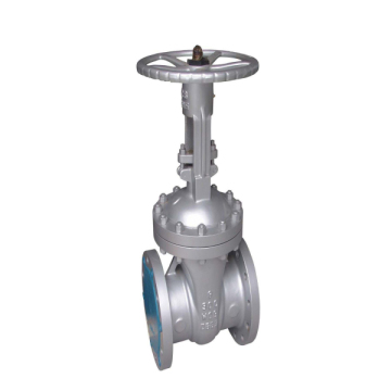 Custom Cast Steel Gate Valve (OEM)