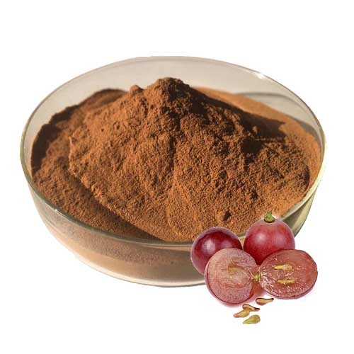 Extrait de pépins de raisin en poudre naturelle à 95% de procyanidines OPC