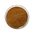 Buy online active ingredients Poplar flower extract powder
