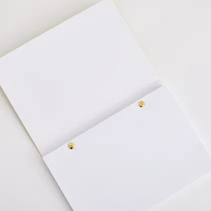 Wholesale Morandi Color Week Planner Calendar