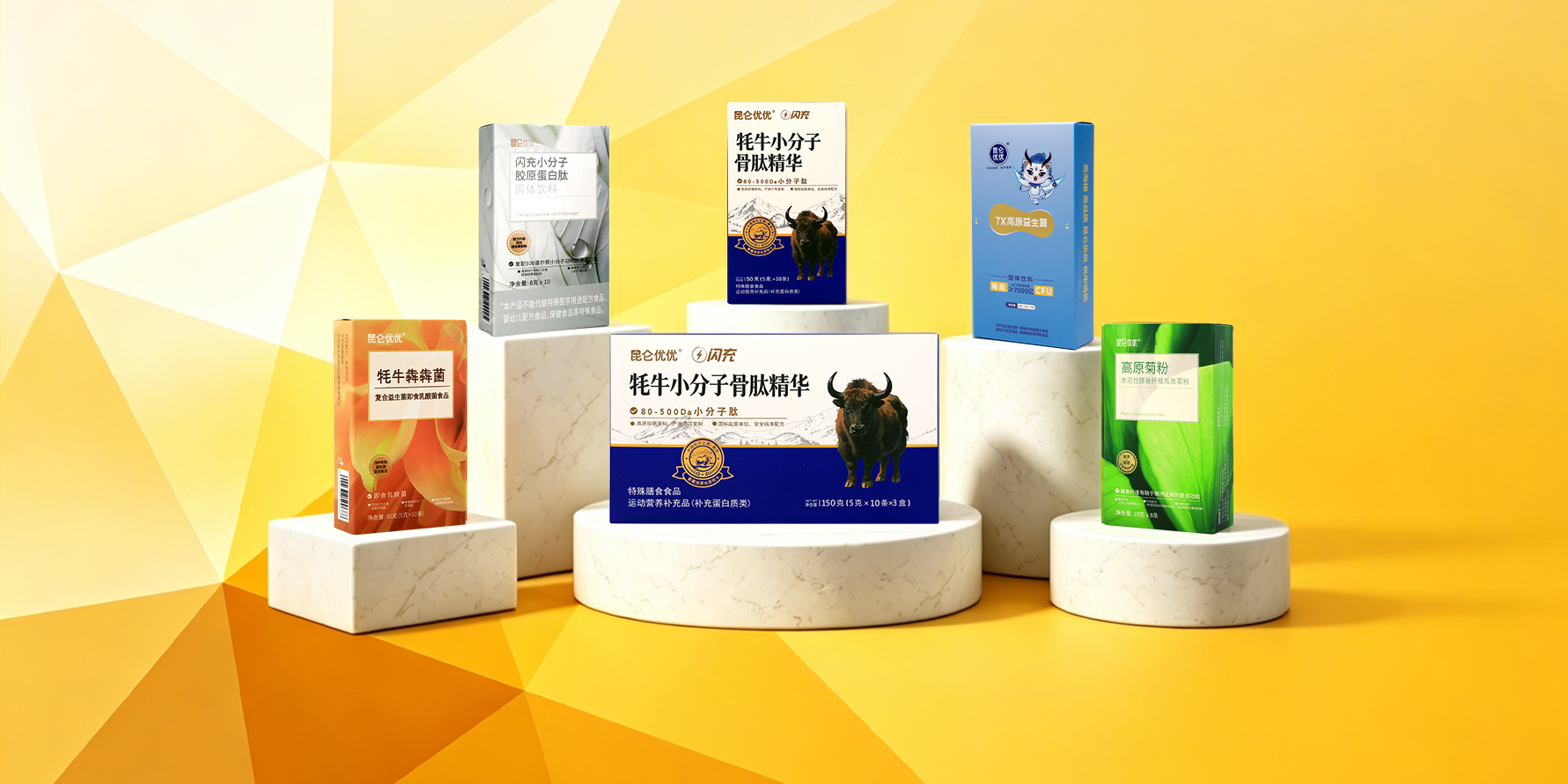 qingao Promotion Meeting3