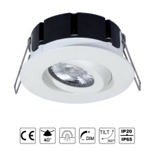 Adjustable led downlight ip65