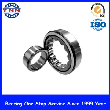 China Supplier and High Speed Cylindrical Roller Bearing (NU 213)