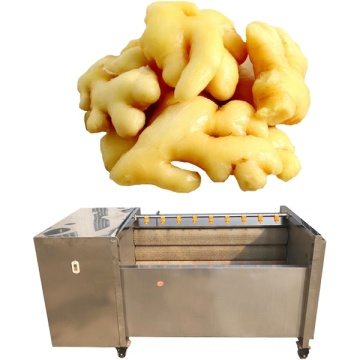 Industrial Vegetable Washing and Peeling Machine - 50kg/h Capacity