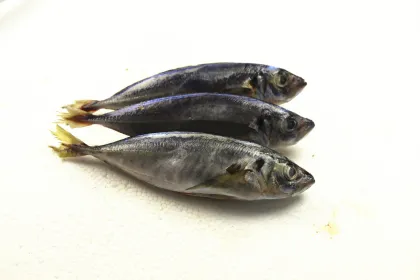 Whole Sea Round Frozen Scad Mackerel