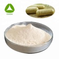 Abnehmen Garcinia Cambogia Extract HCA 60% Pulver