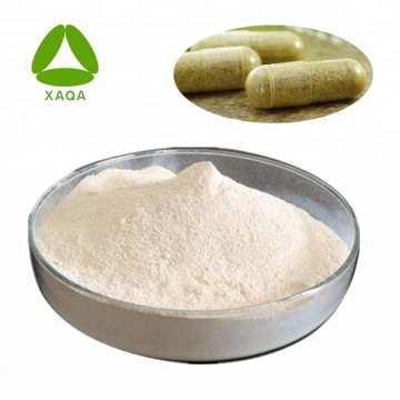 Pérdida de peso Garcinia Cambogia Extract HCA 60% powder