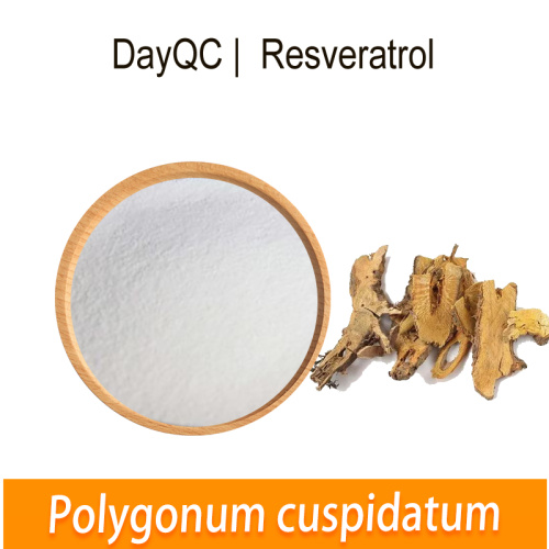Resveratrol orgânico Polygonum cuspidatum extrato