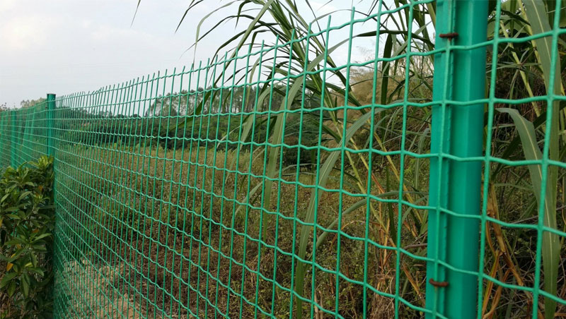 Holland wire mesh fence green color PVC coated