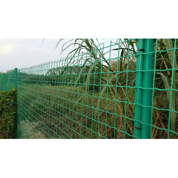 Holland wire mesh fence green color PVC coated