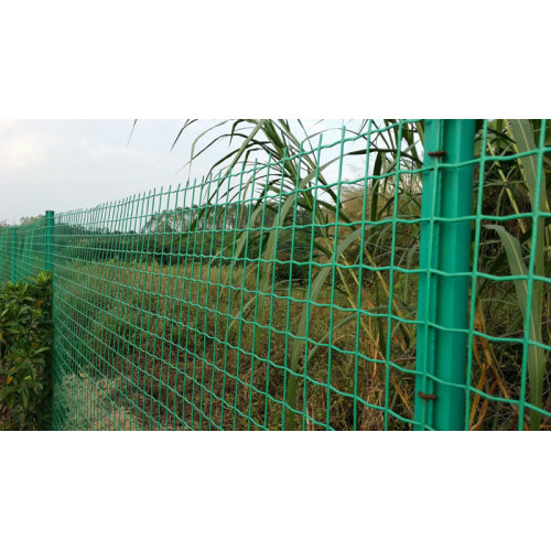 Holland Wire Mesh Fence Green Color PVC مغلفة