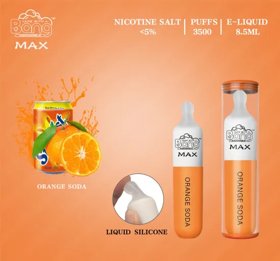 2021 New Max Disposable Electronic Vape Pen