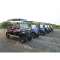 factory4 seater gas or battery powered golf carts