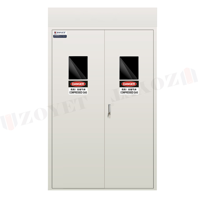 Gas Cylinder Cabinet 4