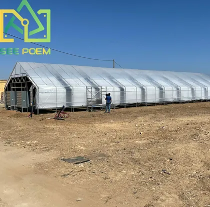 Skyplant Greenhouse HPS DE 1000w Grow Light System