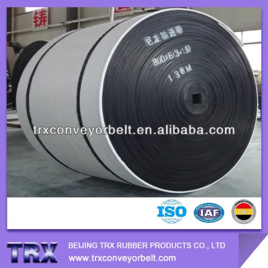 High Bearing Capacity Nylon Conveyor Belt
