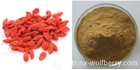 Goji Polysaccharides