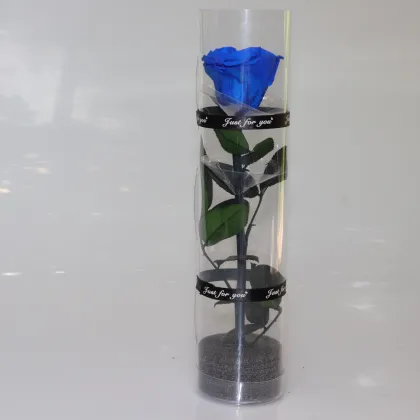 Long-Lasting Preserved Real Roses - Eternal Forever Flowers with Stems