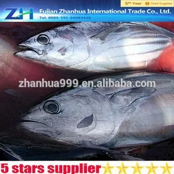 Seafood canned tuna fish skipjack for canning