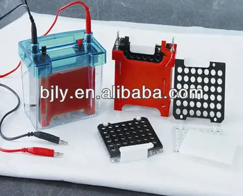 Mini Western Blotting electrophoresis tank,hot product electrophoresis cell
