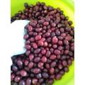 سعر القهوة الفوري Robusta