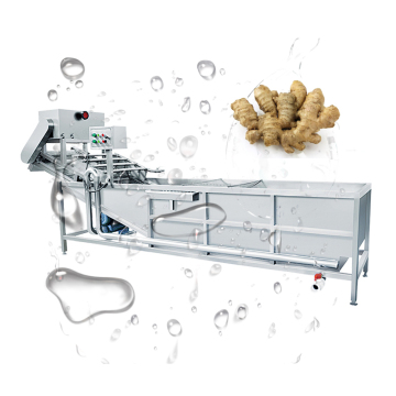 Food Grade 304 Stainless Steel Lettuce Washing Machine for Industrial Use