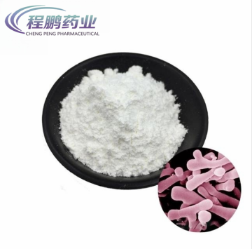 Raw Material Bifidobacterium Bifidum in Food Grade