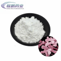 Raw Material Bifidobacterium Bifidum in Food Grade