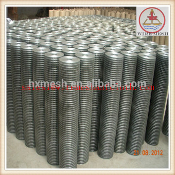4x4Galvanized welded wire mesh /rabbit cage mesh fence