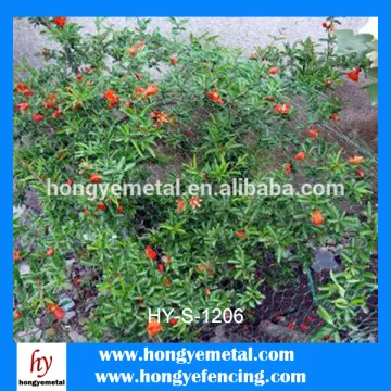 Bird Net (Factory)/bird net trap