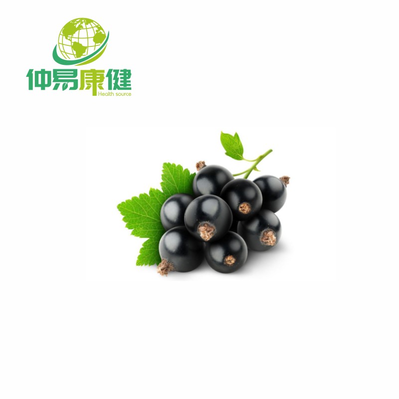 Black Currant Extract Powder