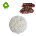 Chiết xuất dưa chuột biển 15% protein 20% polysacarit