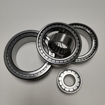 SL1822 Full Complement Cylindrial Roller Bearing